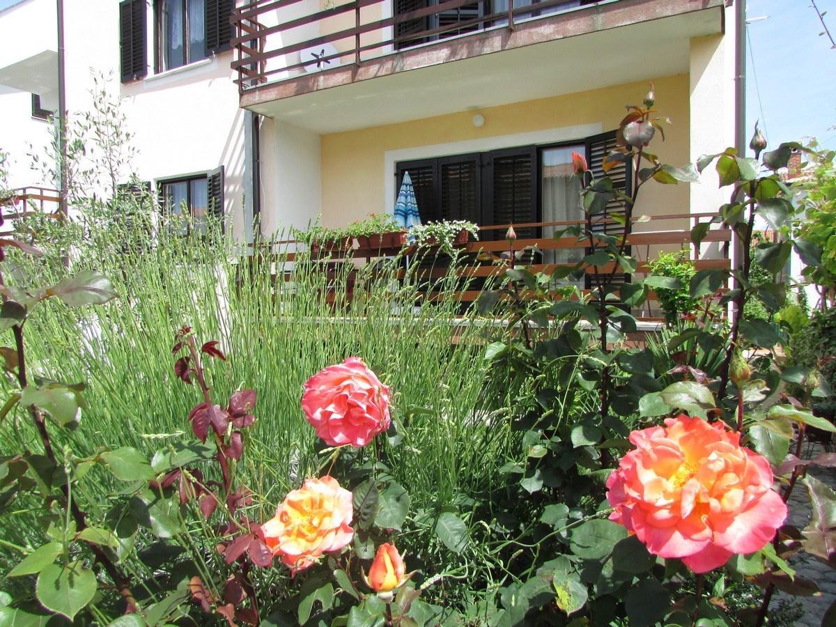 Mirela House With Apartment Umag Extérieur photo